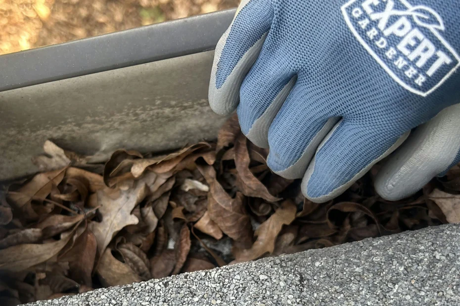 Des Peres Gutter Cleaning