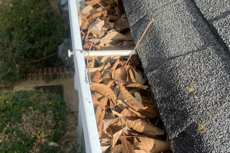 Des Peres Gutter Cleaning