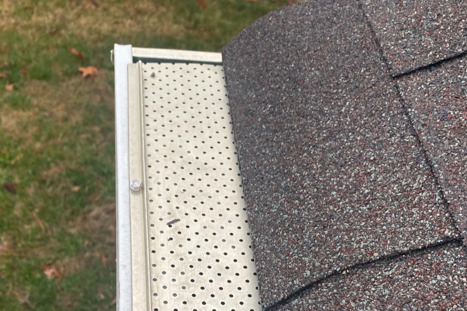 Des Peres Gutter Cleaning
